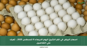 أسعار البيض في كفر الشيخ اليوم الأربعاء 6 أغسطس 2025.. تعرف على التفاصيل